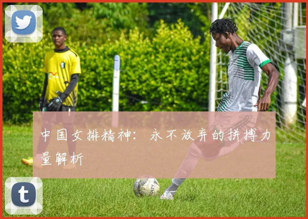 中国女排精神:永不放弃的拼搏力量解析