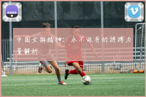 中国女排精神：永不放弃的拼搏力量解析