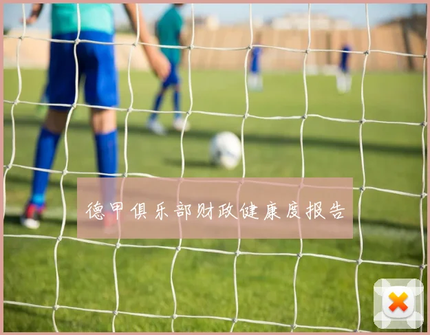 德甲俱乐部财政健康度报告