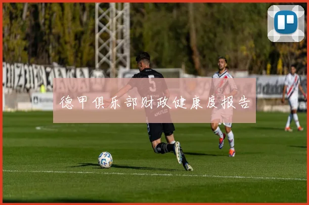 德甲俱乐部财政健康度报告
